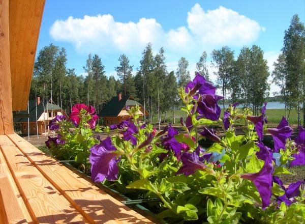 Holiday Complex Cirmas Ezerkrasts Ludza Zimmer foto